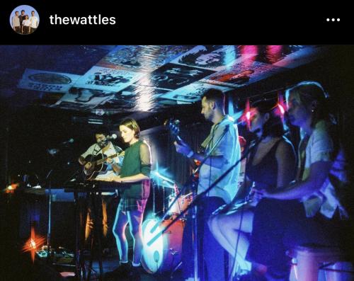 The Wattles @ The Chippo