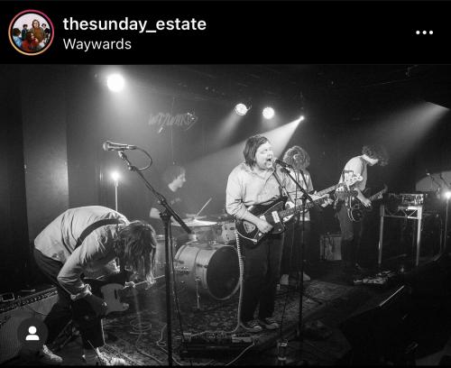 The Sunday Estate - Waywards